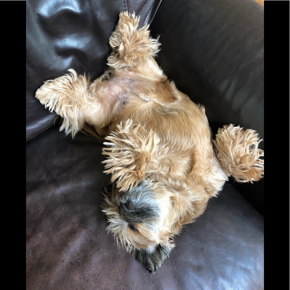 💋♥️MANY ITEMS BOGO!!♥️💋 - Picture 4 of 5